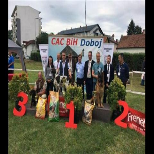 izlozba-pasa-2018-06