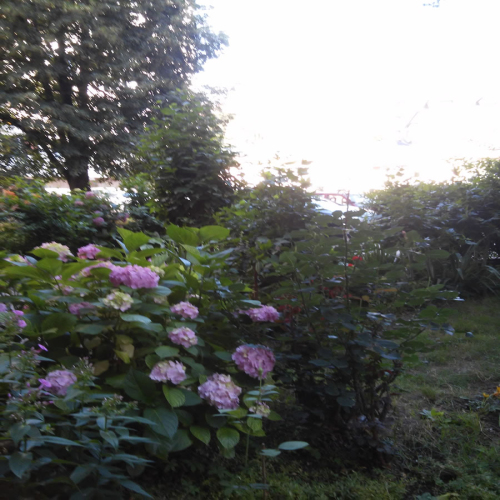 uredjeno-dvoriste-zgrade-05