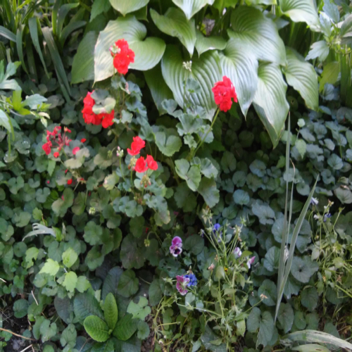 uredjeno-dvoriste-zgrade-07