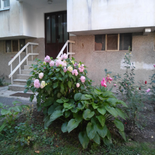 uredjeno-dvoriste-zgrade-11