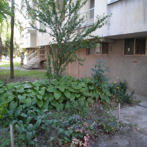 uredjeno-dvoriste-zgrade-12