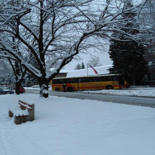 proljece-u-snijegu-02