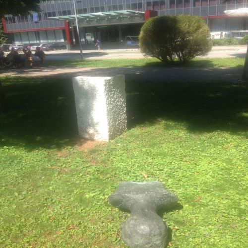 simo-lukic-heroj-ponovo-03