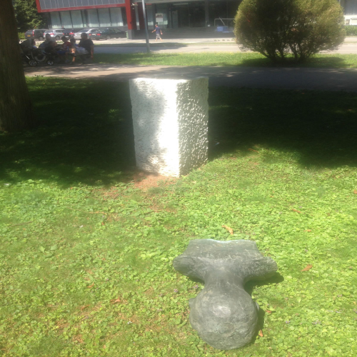 simo-lukic-heroj-ponovo-04