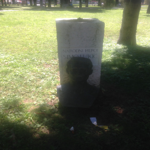 simo-lukic-heroj-ponovo-05