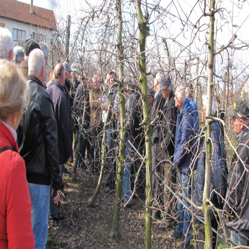 kurs-vocarstva-penzioneri-doboj-03