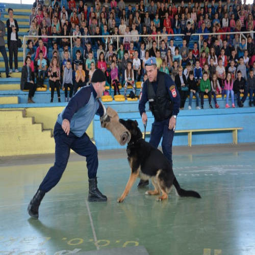 dan-policije-04-04-2016-13