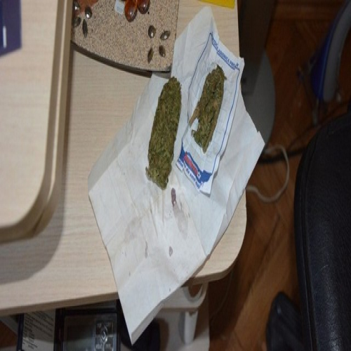 marihuana-okt-2017-04