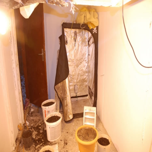 uzgajao-drogu-u-kuci-01