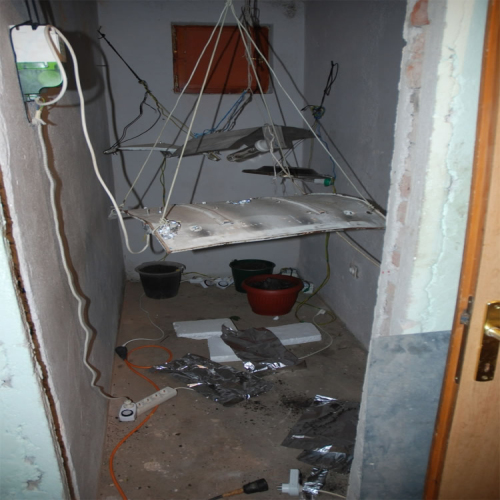 uzgajao-drogu-u-kuci-03