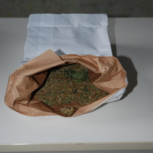 uzgajao-drogu-u-kuci-04