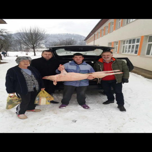 pecenice-snsd-2017-01