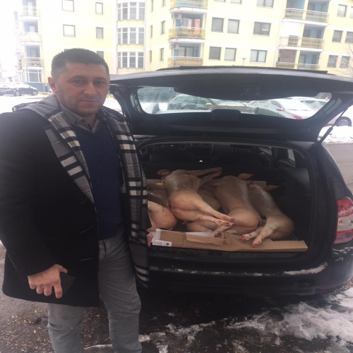 pecenice-snsd-2017-06