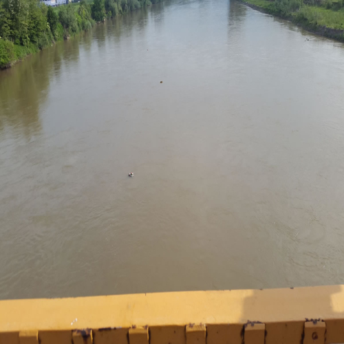 vijenac-poplava-snsd-2017-02