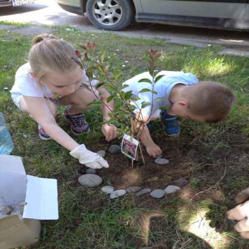 socijalisti-doboj-akcija-jun-21-04