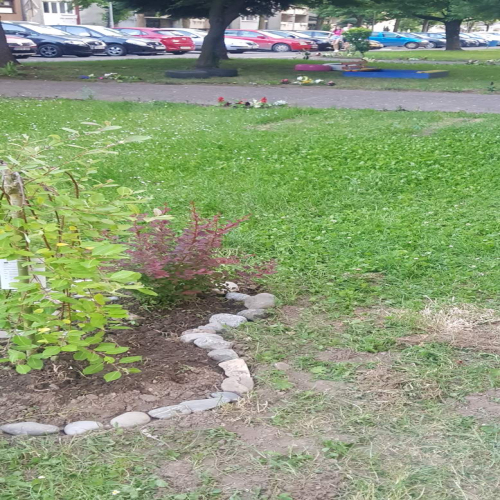 socijalisti-doboj-akcija-jun-21-11