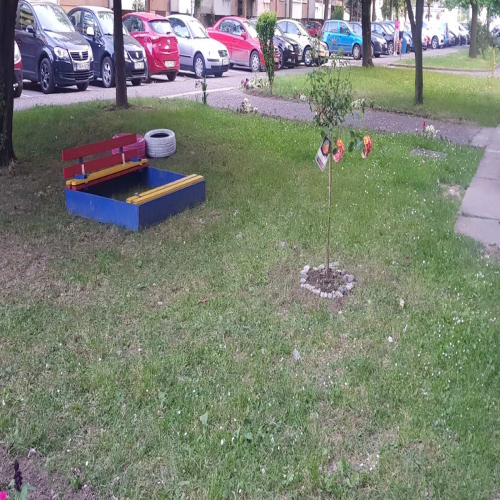 socijalisti-doboj-akcija-jun-21-12