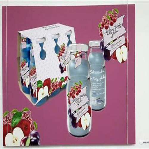 diplomci-slobomir-p-2015-02