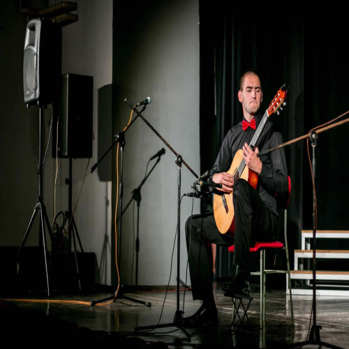 gitara-nikola-jovic-04