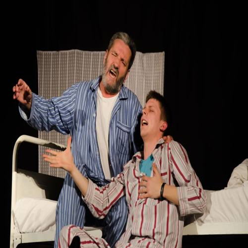 humanitarna-prestava-sestre-gojic-03