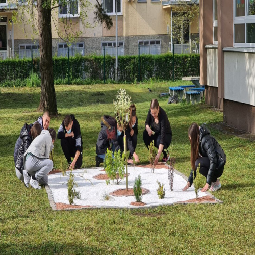 os-vuk-stefanovic-dan-planete-02