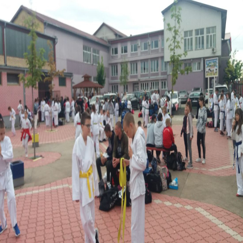 karate-kup-sabacki-pobednik-2021-01