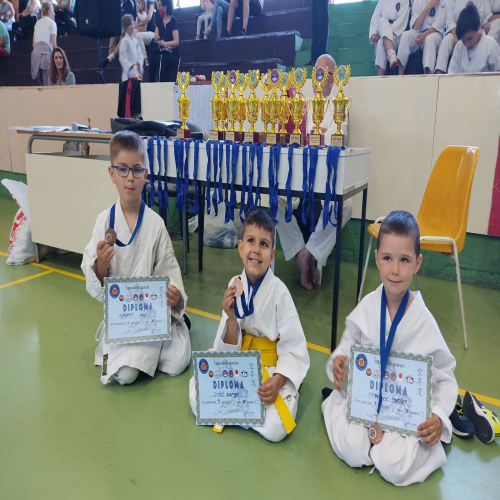 karate-vila-kvale-za-evropu-05