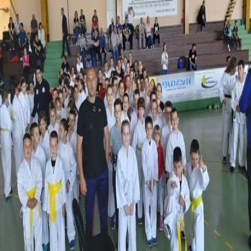 karate-vila-kvale-za-evropu-07
