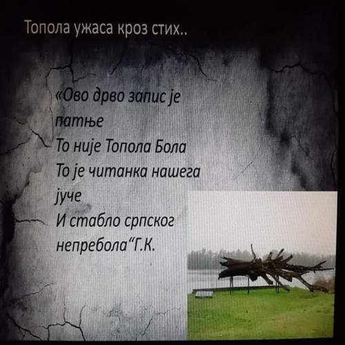 jasenovac-sjecanje-04