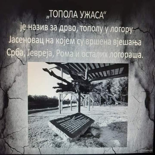 jasenovac-sjecanje-05