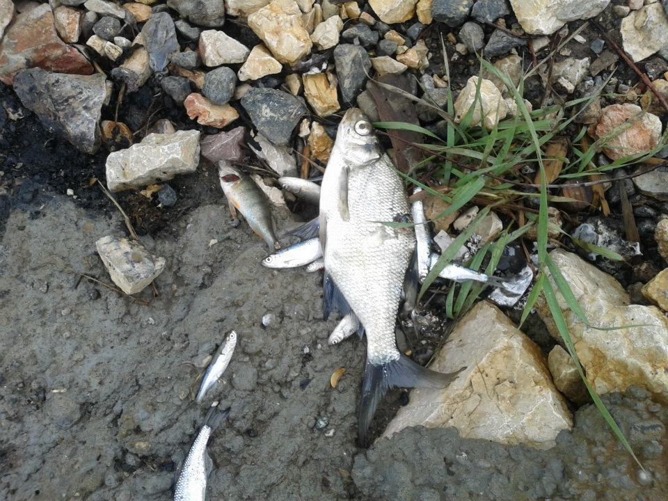 DOBOJ: Novo zagađenje rijeke Spreče