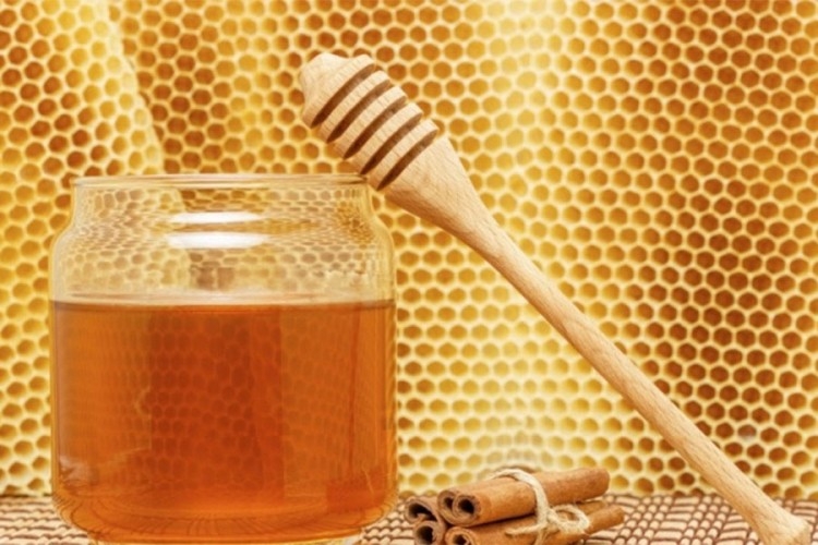 DOBOJ: Prijavljeni za krađu 500 kg meda