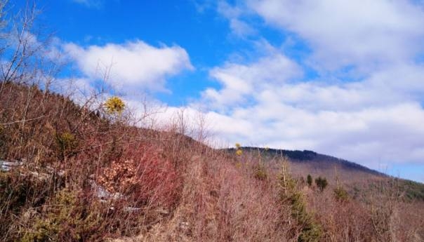 VRIJEME: Danas do 23 stepena, poslijepodne naoblačenje