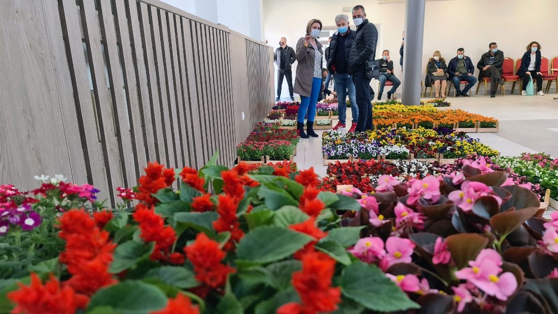 DOBOJ: Grad obezbijedio 2.520 sadnica za 45 prijavljenih ZEV-ova