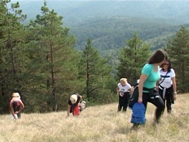 NA GOSTILJU UMJESTO DA BERU TRAVU IVU: Tukli se, pucali, ranjavali i završili u bolnici