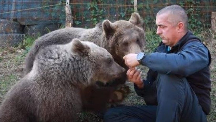 NA PLANINI OZREN KOD DOBOJA: Medvedica Maša dobila družbenicu, Novu godinu dočekala sa Ljubicom (VIDEO)