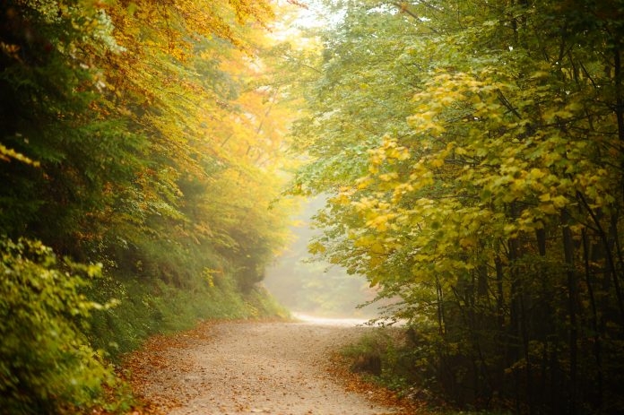 VRIJEME: Danas oblačno, bez padavina