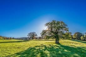 VRIJEME: Danas vedro i toplo, poslijepodne moguća mjestimična kiša
