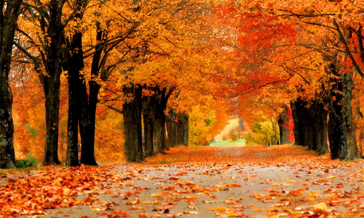 VRIJEME: U prvom dijelu dana tmurno i svježije, potom slijedi razvedravanje