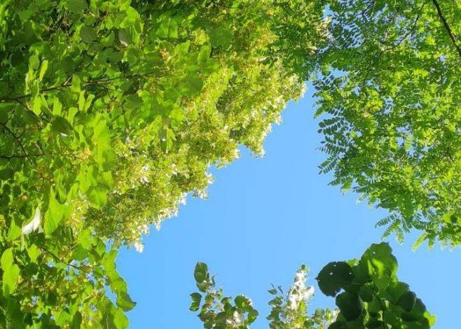 VRIJEME: Sutra pretežno sunčano, do 20 stepeni celzijusovih