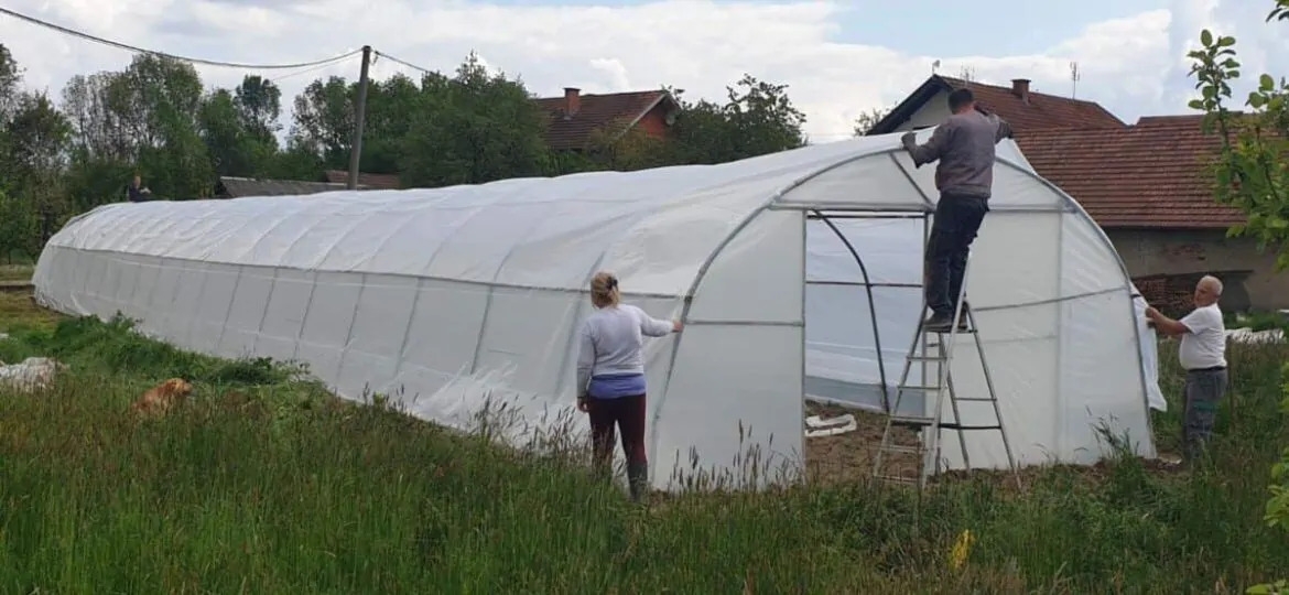 UZGOJ JAGODA – Posao za dušu, karta za bolji život