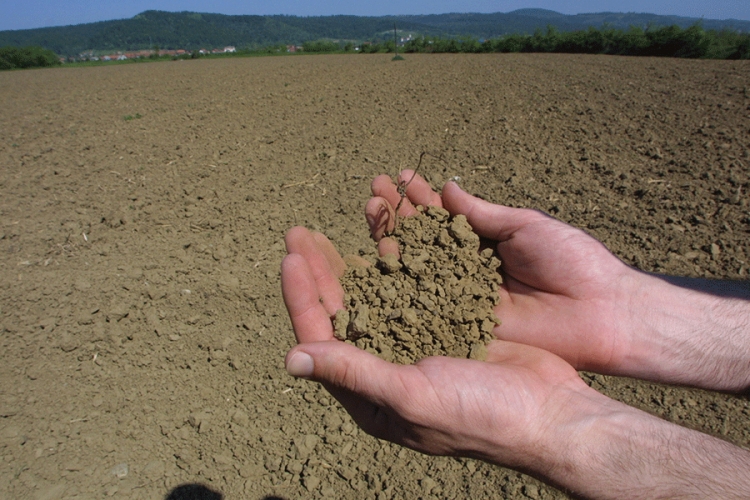 PETROVO: Bespravno zauzeli 17 dunuma zemlje