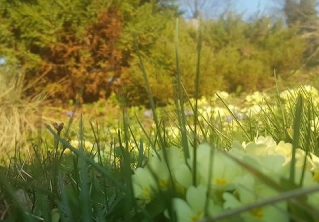 VRIJEME: Promjenjivo oblačno, ali toplo