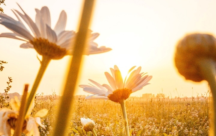 VRIJEME: Danas toplo, do 33 stepena celzijusova