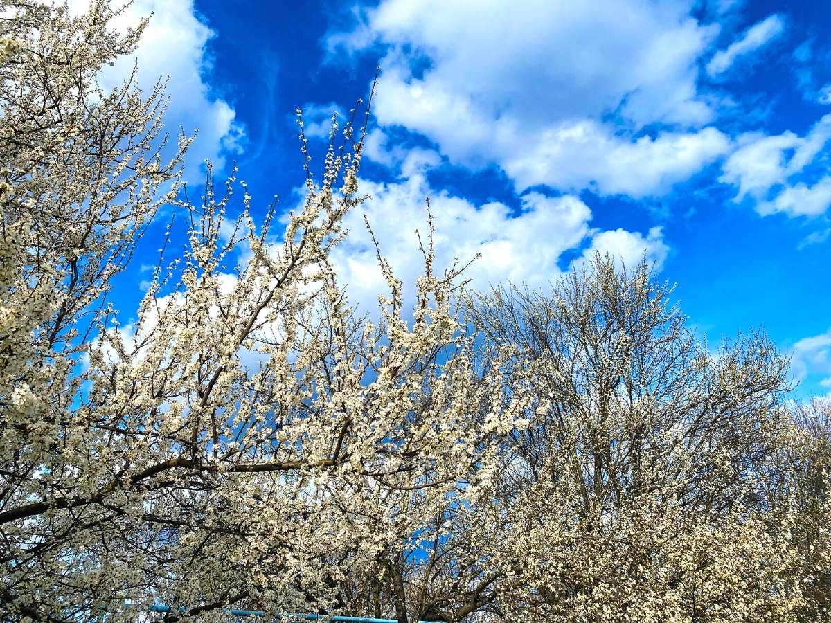 VRIJEME: Pretežno sunčano i toplije, na jugu i zapadu kratkotrajni pljuskovi