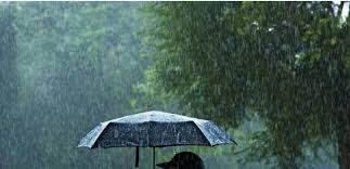 VRIJEME: Prije podne oblačno sa slabom kišom, poslije podne razvredravanje