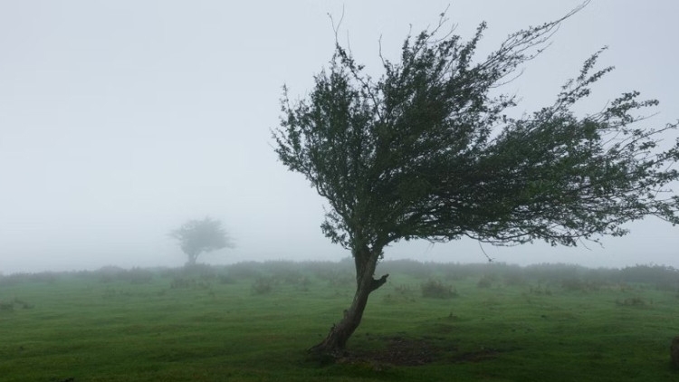 DOBOJSKI INFO UPOZORAVA: Jak olujni vjetar od 9. do 11. februara