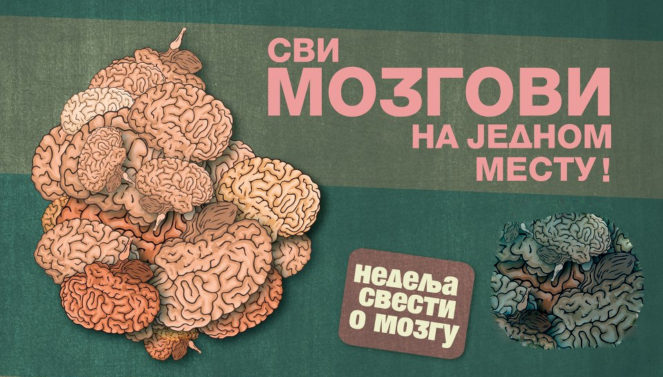 DOBOJSKI INFO POZIVA: Prijavite se za učešće u obilježavanju Nedelje svijesti o mozgu
