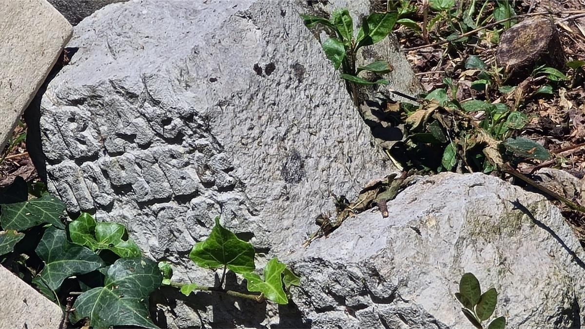 DOBOJ: Služen pomen za ukopane na zaboravljenom srpskom groblju