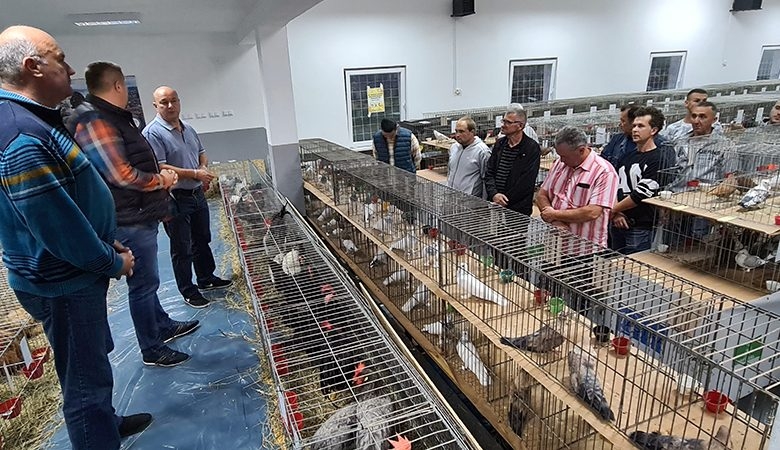 DOBOJ: Otvorena međunarodna izložba sitnih životinja (FOTO)